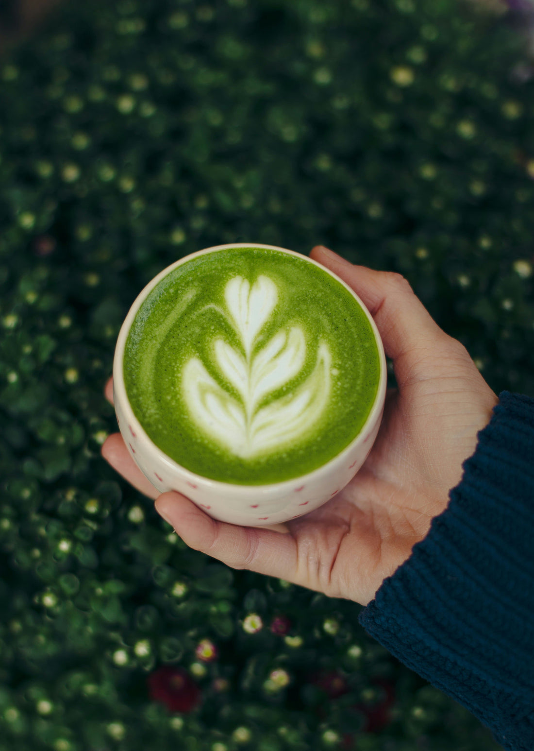 Matcha Latte Recipe: How to Make the Perfect Cup at Home